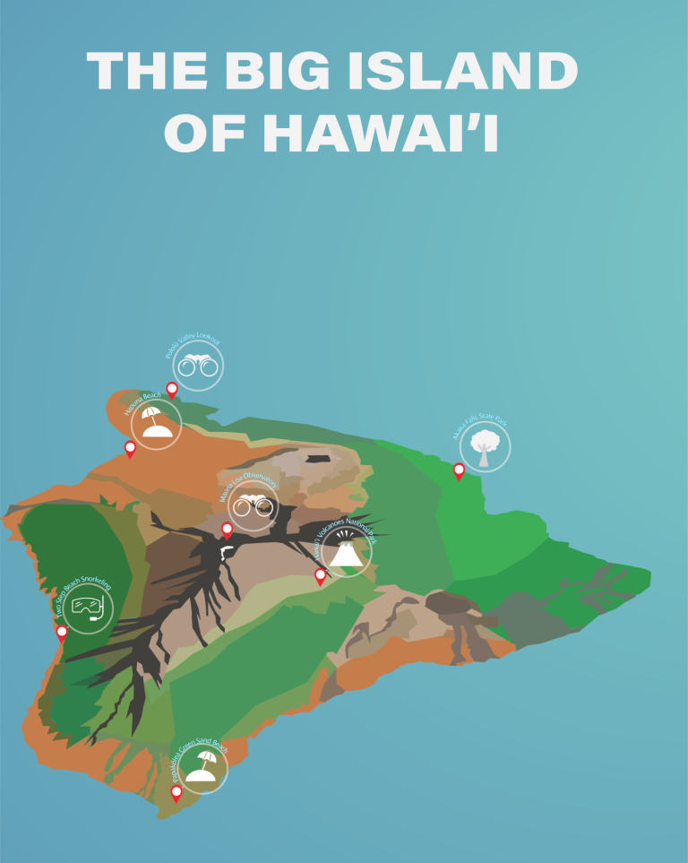 DMA395 Project 3: Infographic Illustration