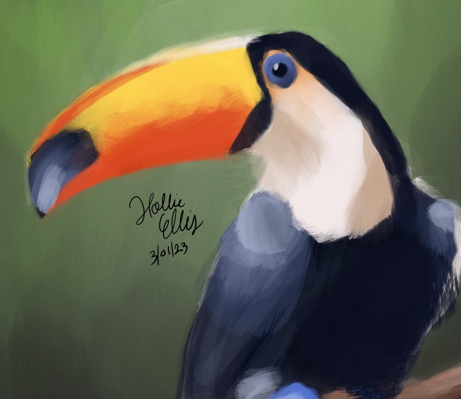 Digital Painting: Toucan